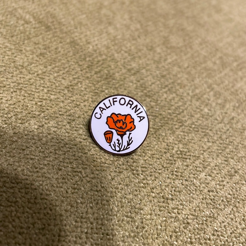 State of California lapel pin.